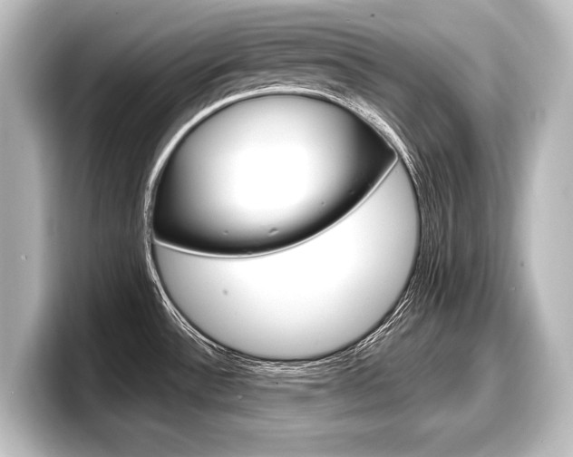 X0000098171532200804240959