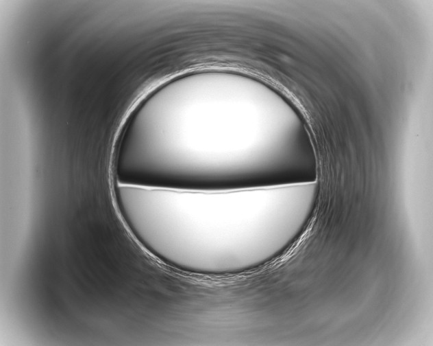 X0000098171533200804240959