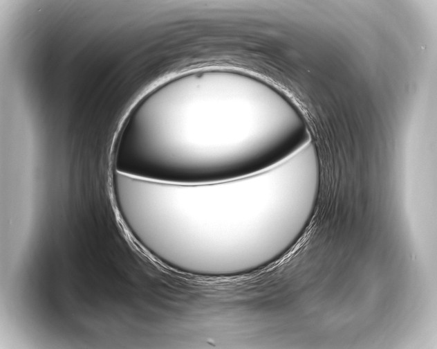 X0000098171534200804240959