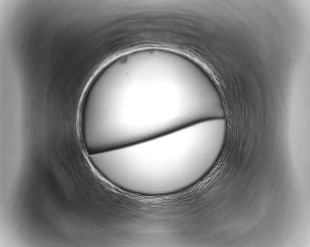 X0000098171535200804240959
