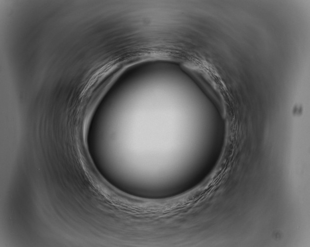 X0000098170001200804241206