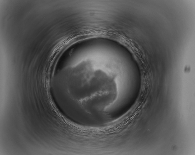 X0000098170002200804241206