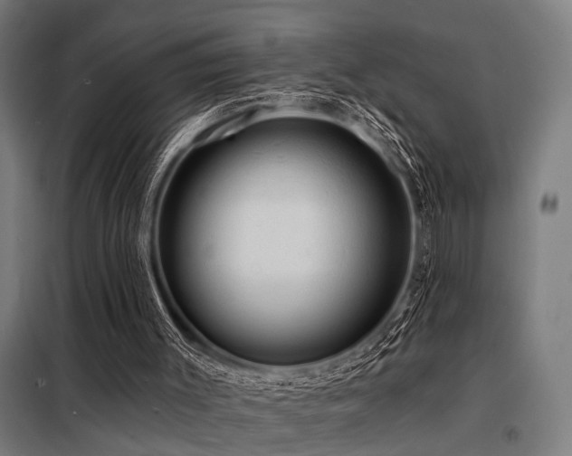 X0000098170003200804241206