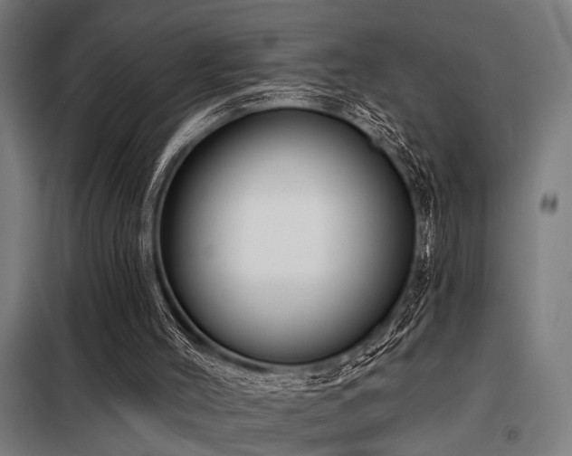 X0000098170004200804241206