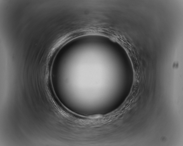 X0000098170005200804241206