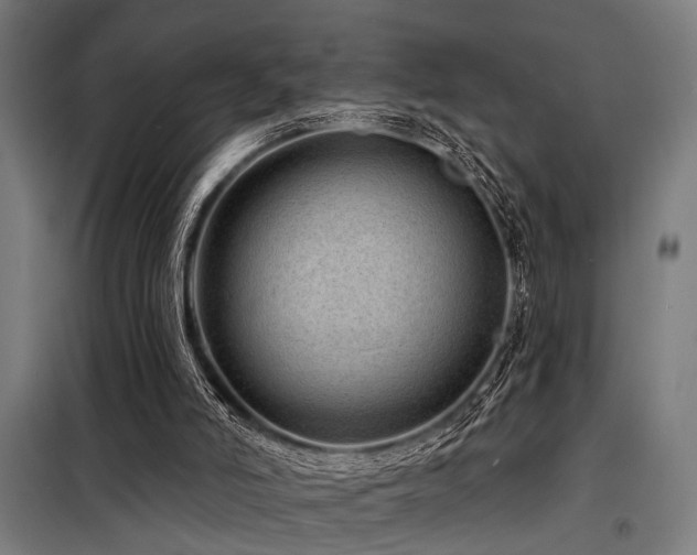 X0000098170006200804241206