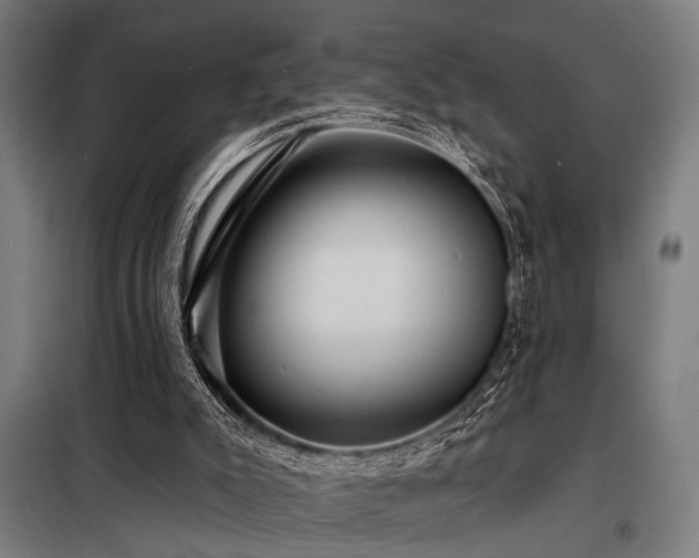 X0000098170007200804241206