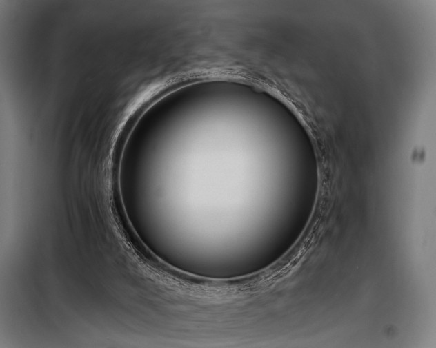 X0000098170008200804241206