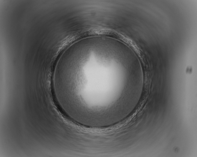 X0000098170010200804241206