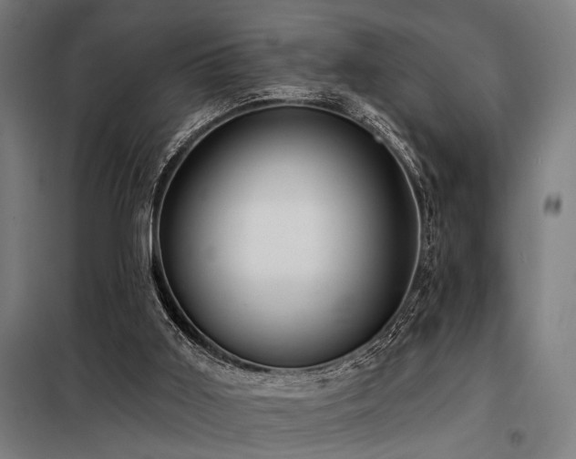 X0000098170011200804241206