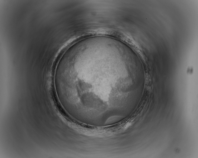 X0000098170012200804241206