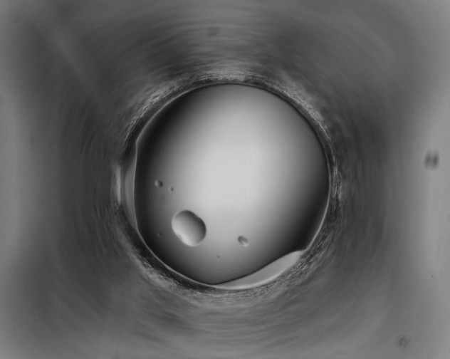 X0000098170013200804241206