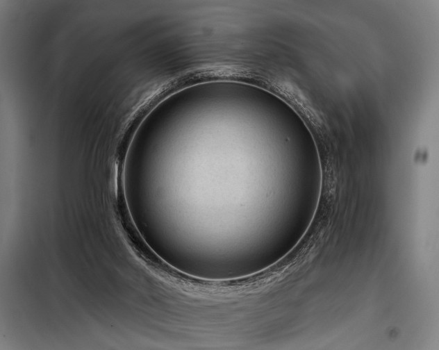 X0000098170014200804241206