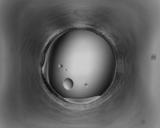 X0000098170015200804241206