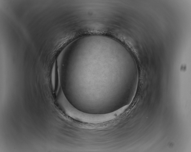 X0000098170017200804241206