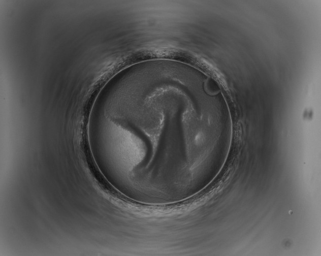 X0000098170018200804241206