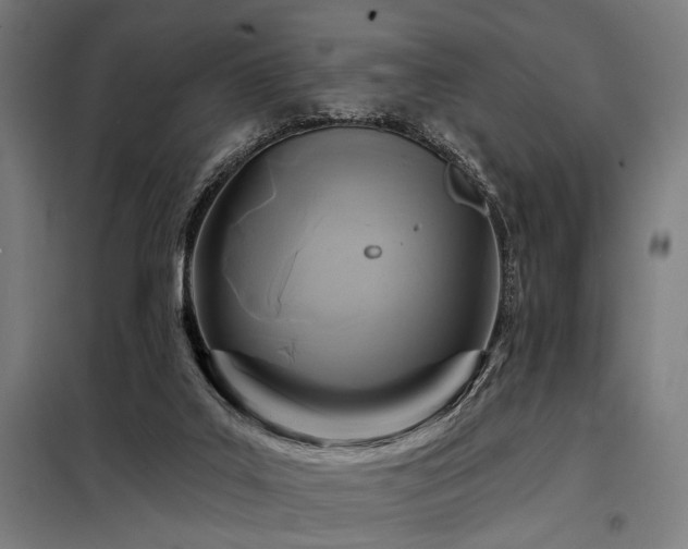 X0000098170019200804241206