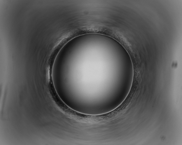 X0000098170020200804241206