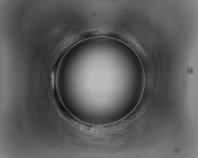 X0000098170022200804241206