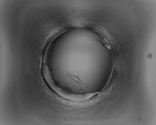 X0000098170023200804241206