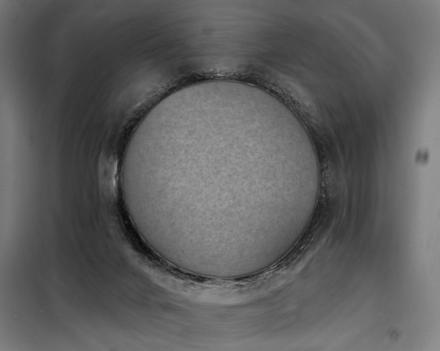 X0000098170024200804241206