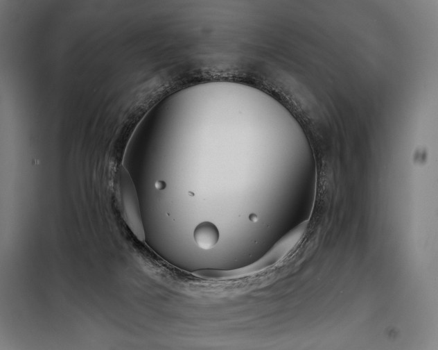 X0000098170025200804241206