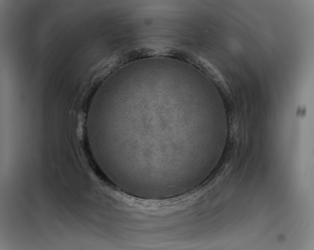 X0000098170026200804241206