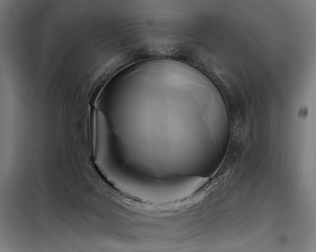 X0000098170027200804241206