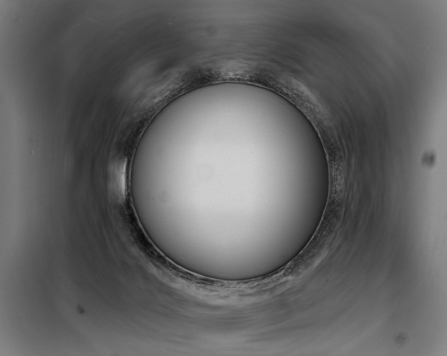 X0000098170028200804241206