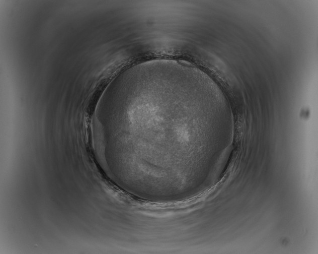 X0000098170029200804241206