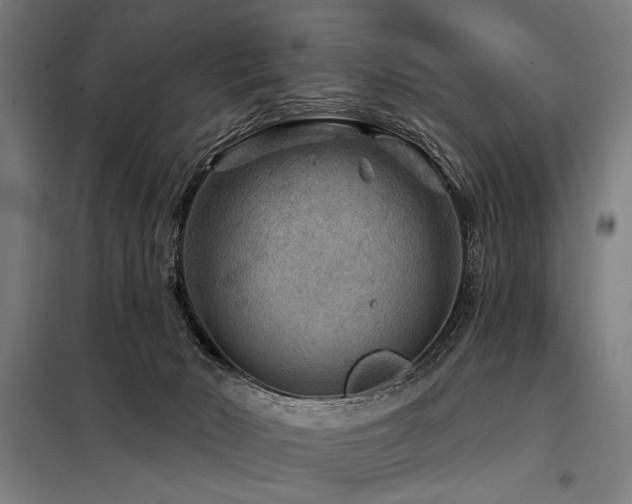 X0000098170030200804241206