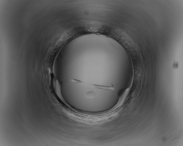 X0000098170031200804241206