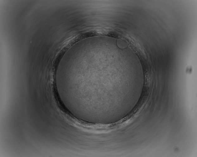 X0000098170032200804241206