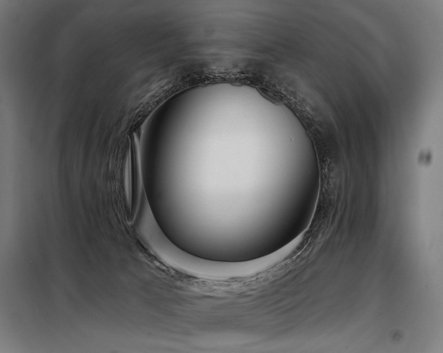 X0000098170033200804241206