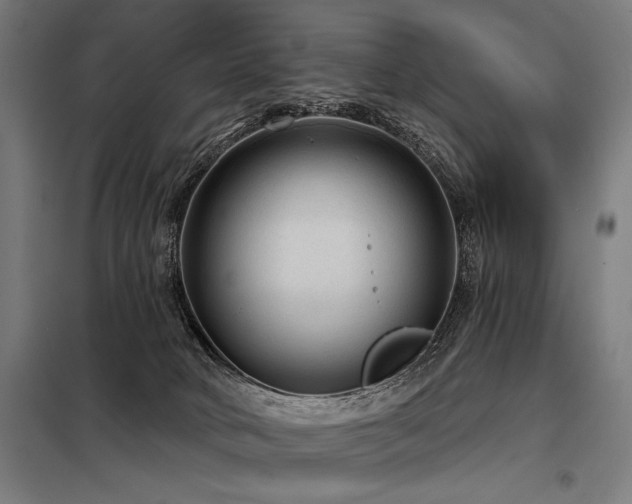 X0000098170034200804241206