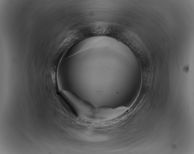 X0000098170035200804241206