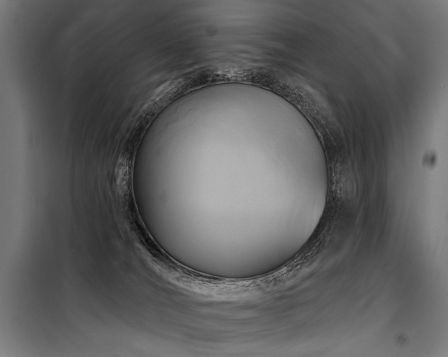 X0000098170036200804241206