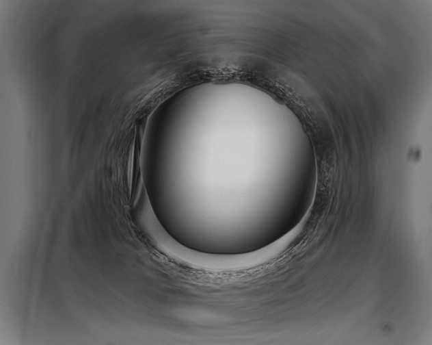 X0000098170037200804241206