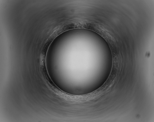 X0000098170038200804241206