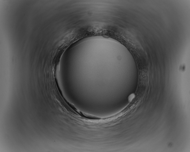 X0000098170039200804241206