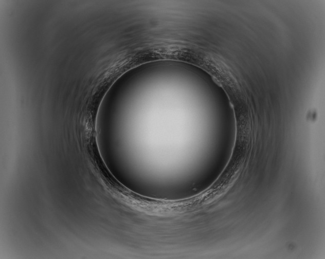 X0000098170040200804241206