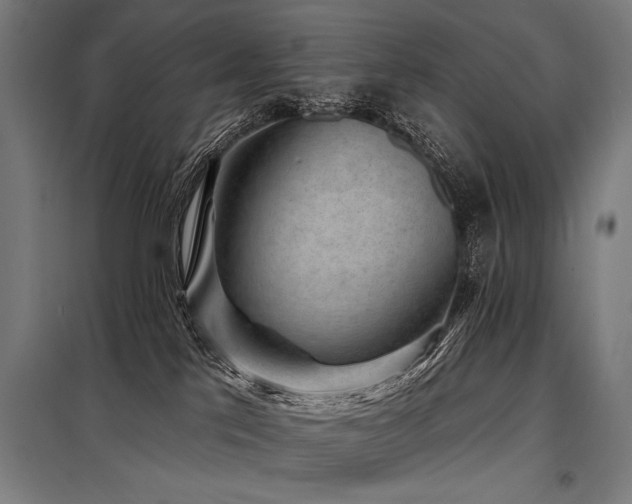 X0000098170041200804241206