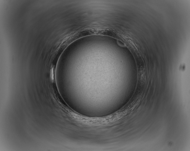 X0000098170042200804241206