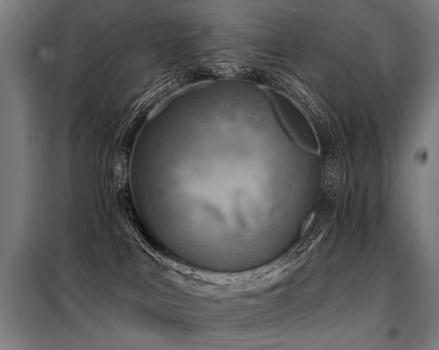 X0000098170043200804241206