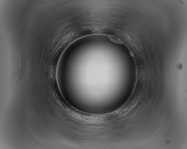 X0000098170044200804241206