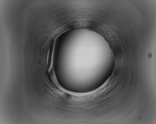 X0000098170045200804241206