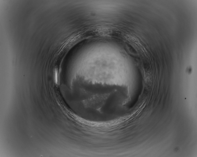 X0000098170046200804241205