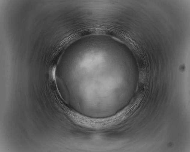 X0000098170047200804241205