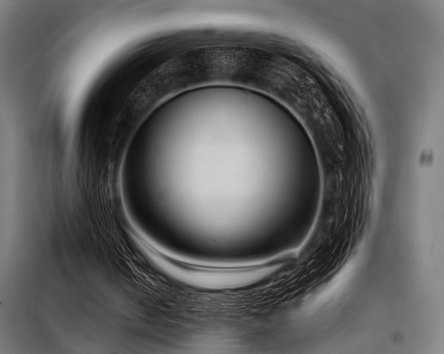 X0000098170050200804241205