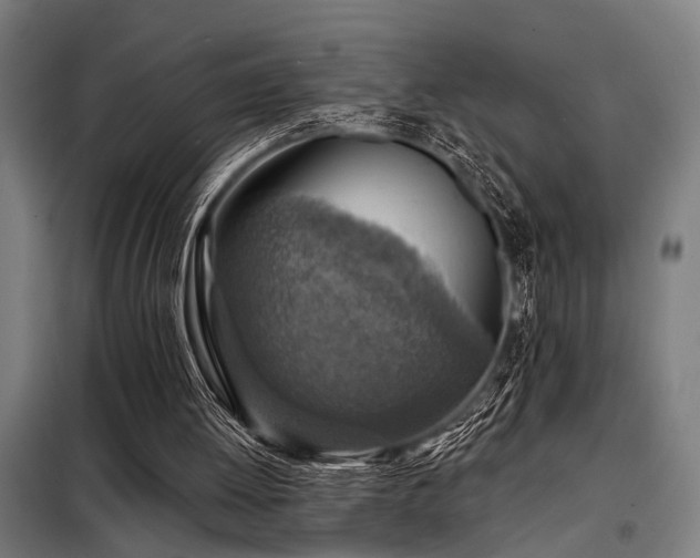 X0000098170052200804241205